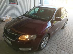 Skoda Rapid - 2013