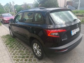 Skoda Karoq - 2019