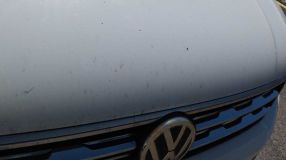 Volkswagen Tiguan - 2018