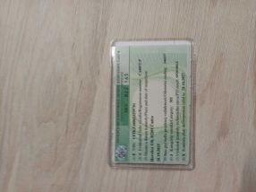 Renault Megane - 2015