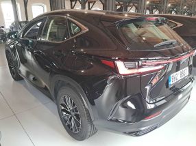 Lexus NX - 2023