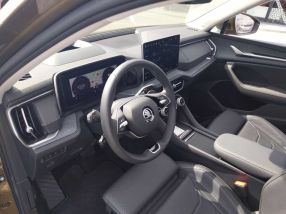 Skoda Kodiaq - 2024