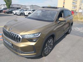 Skoda Kodiaq - 2024
