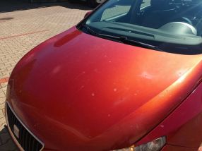 Seat Ibiza - 2010