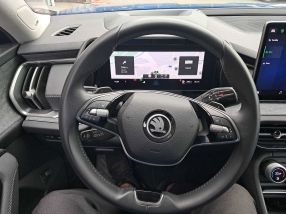 Skoda Kodiaq - 2024