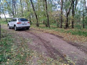 Volkswagen Tiguan - 2020