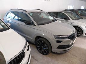 Skoda Karoq - 2020