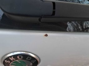 Skoda Octavia - 2012