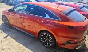 Kia ProCeed - 2024