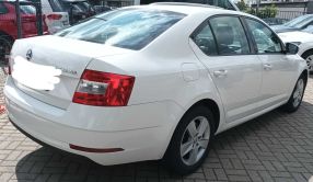 Skoda Octavia - 2019