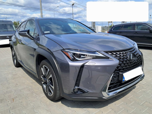 Lexus UX 2019