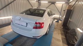 Skoda Octavia - 2019