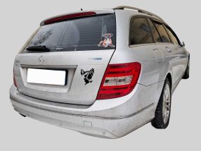 Mercedes-Benz C - 2011