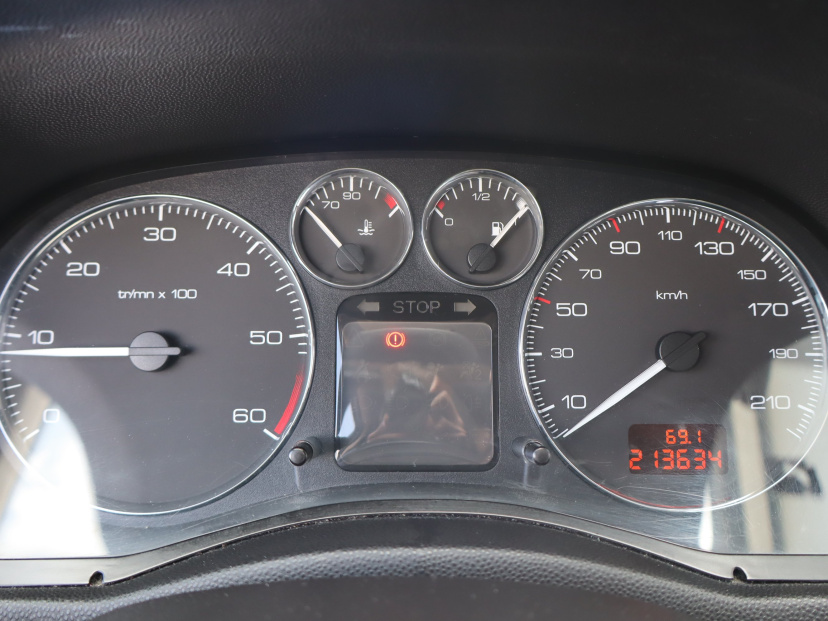 Peugeot 307, 2006