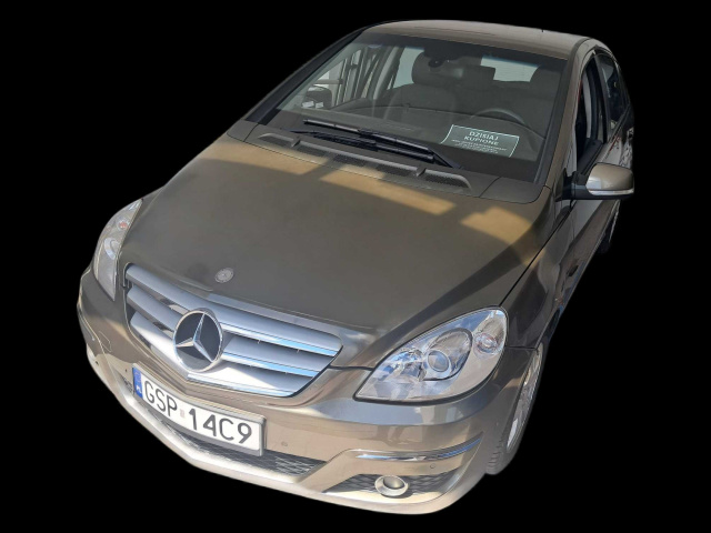 Mercedes-Benz B 2009