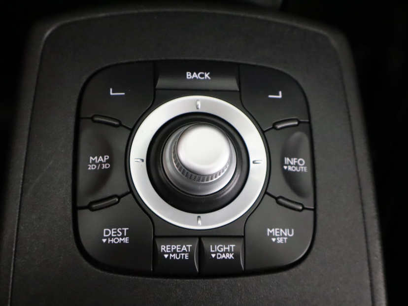 Renault Grand Scenic, 2010
