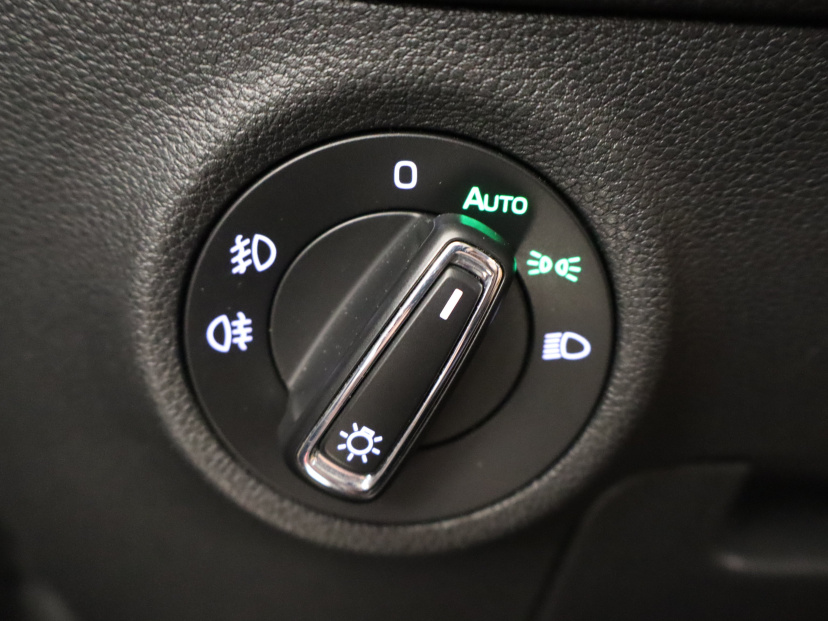 Škoda Kodiaq, 2017