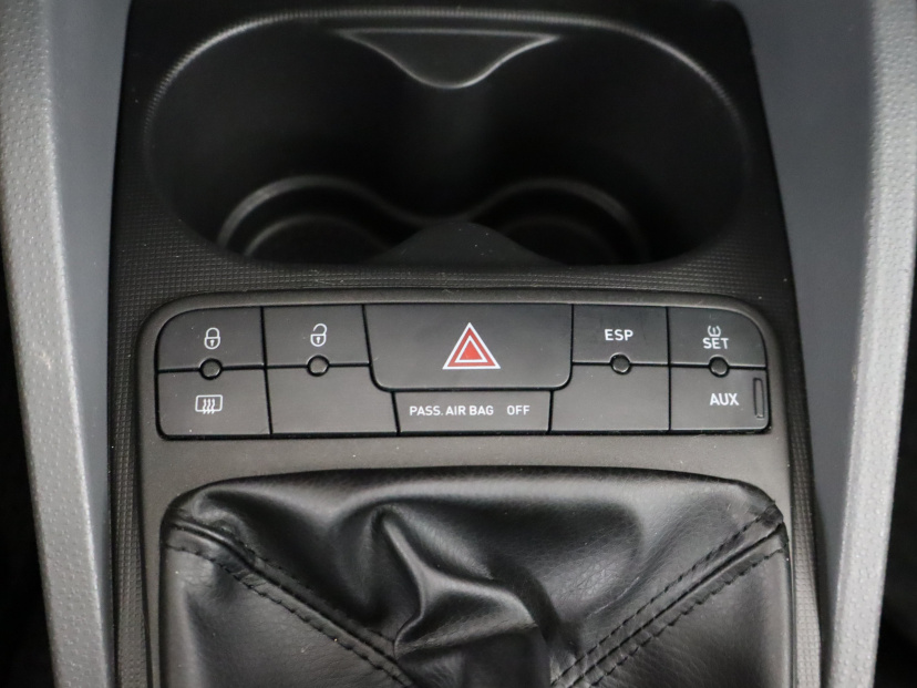 Seat Ibiza, 2010