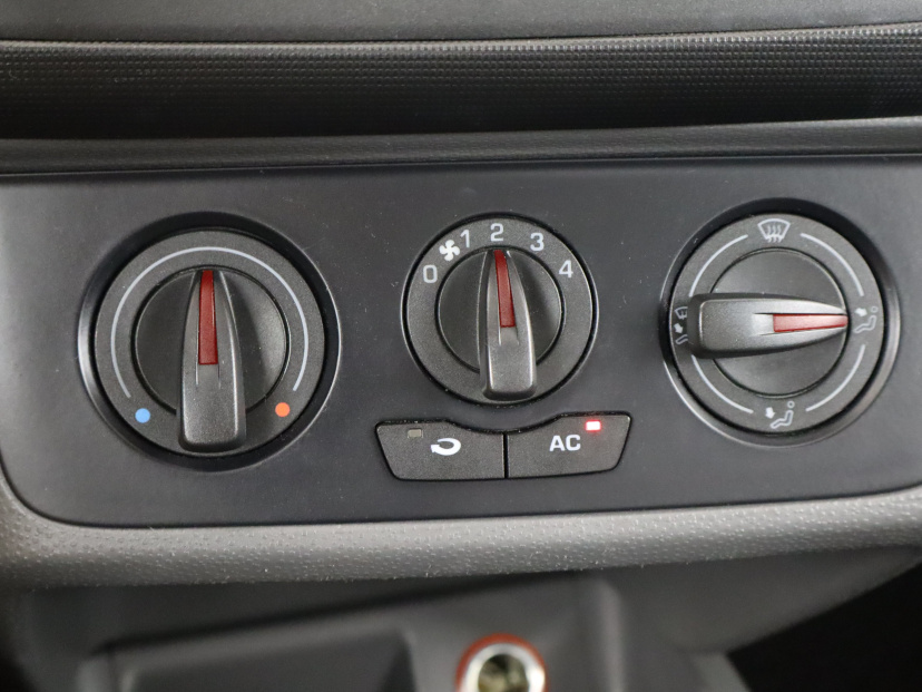 Seat Ibiza, 2010