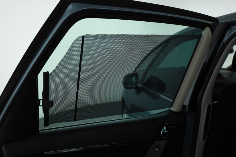 Citroen C4 Picasso, 2010