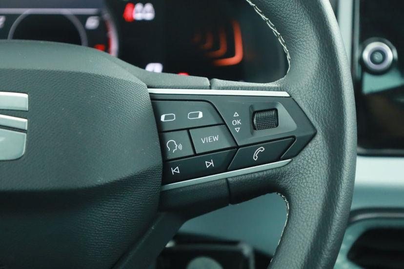 Seat Arona, 2025