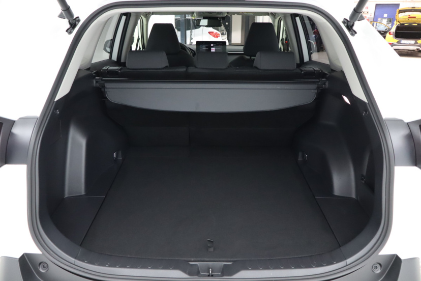Toyota RAV 4, 2024