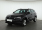 Škoda Karoq, 2020