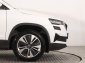 Škoda Karoq, 2022
