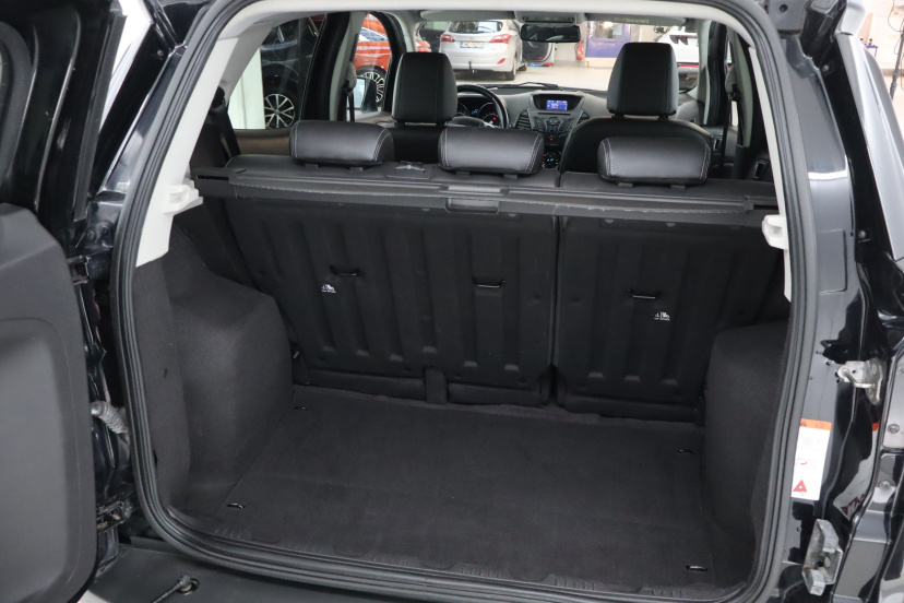 Ford Ecosport, 2016