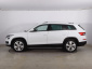 Škoda Kodiaq, 2019