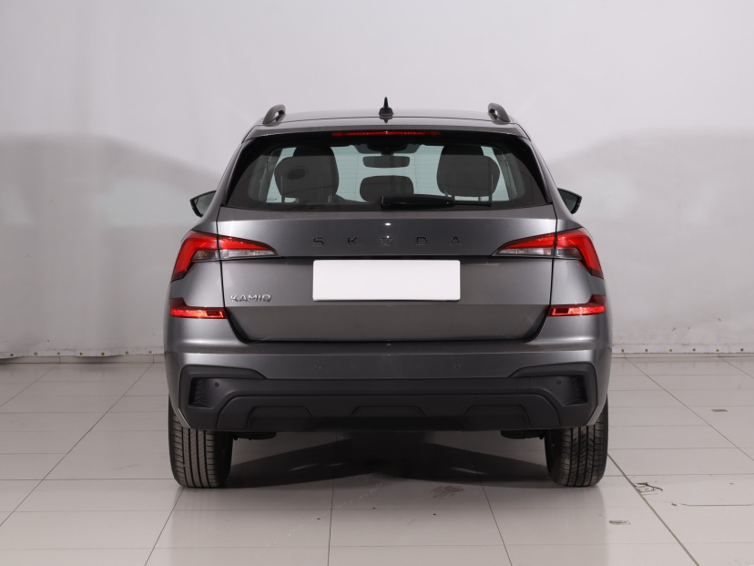 Škoda Kamiq, 2024