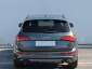 Audi SQ5, 2015