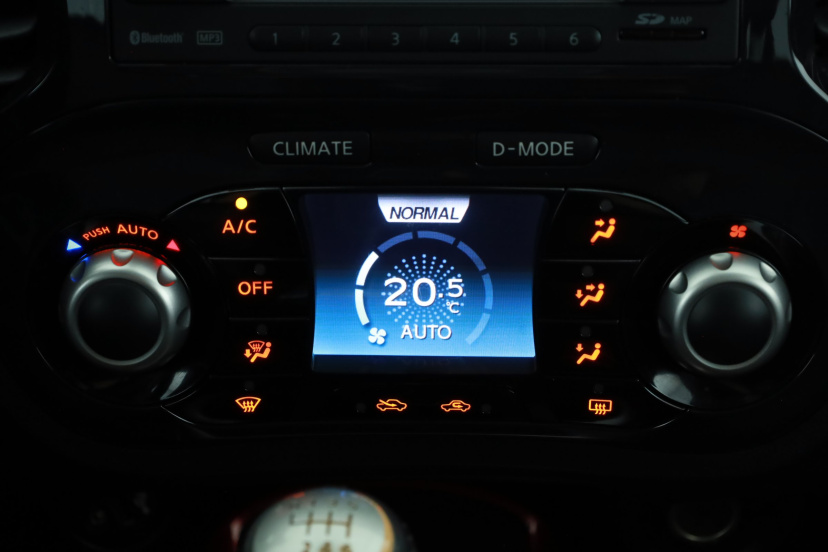Nissan Juke, 2010