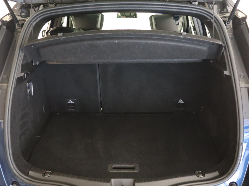 Renault Scenic, 2019