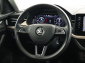 Škoda Kamiq, 2020