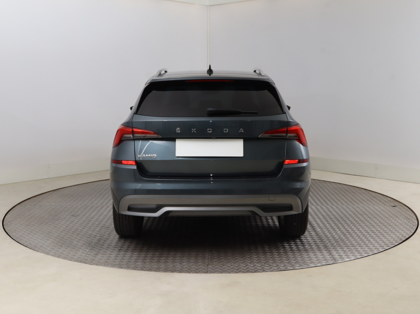 Škoda Kamiq, 2020