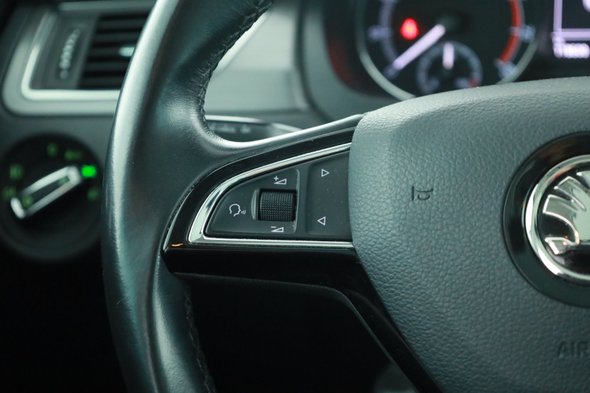 Škoda Rapid Spaceback, 2019