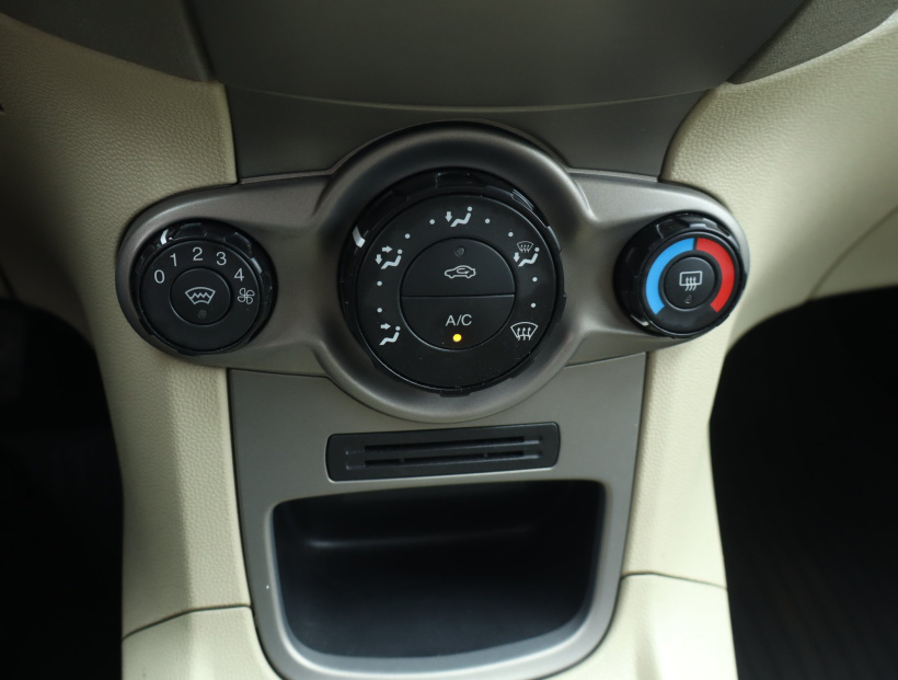 Ford Fiesta, 2009