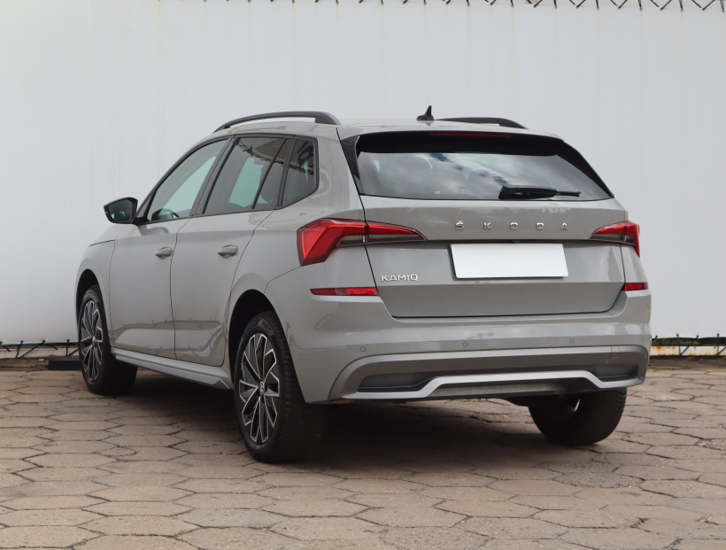 Škoda Kamiq, 2020