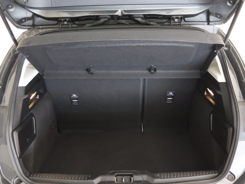 Ford Focus, 2019