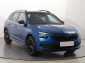 Škoda Kamiq, 2021