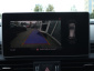 Audi Q5, 2017