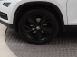 Škoda Kodiaq, 2018