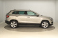 Škoda Karoq, 2019