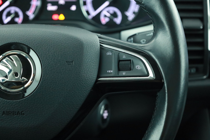 Škoda Kodiaq, 2020