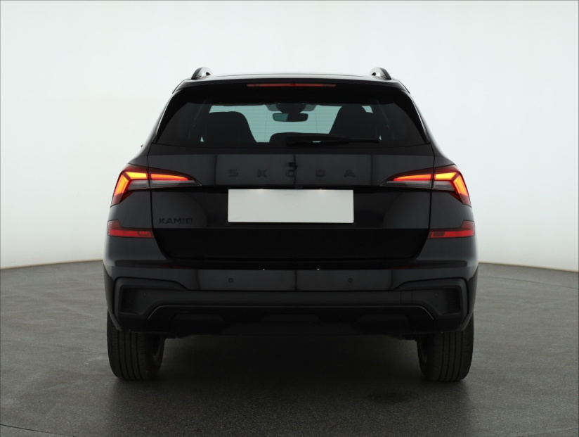 Škoda Kamiq, 2024