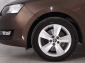 Škoda Rapid, 2019