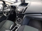 Ford C-Max, 2013