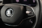 Škoda Kamiq, 2022