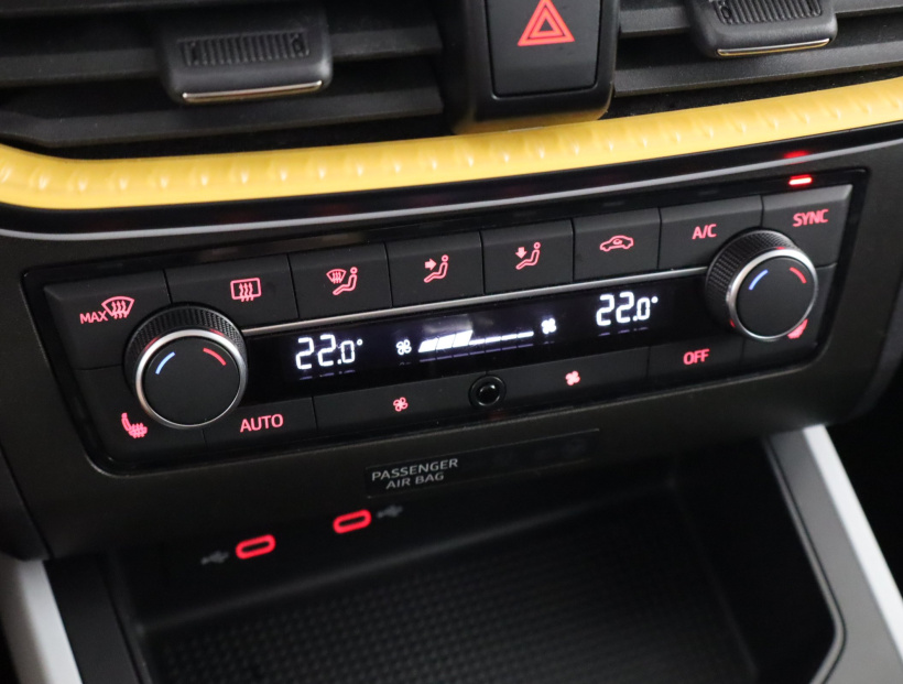 Seat Arona, 2024